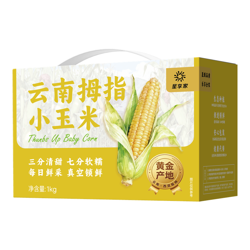 云南拇指小玉米